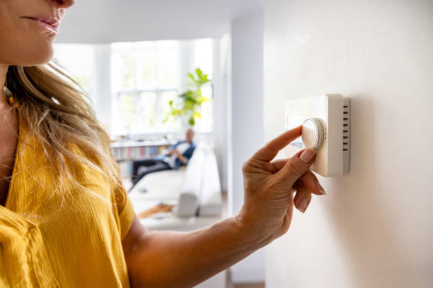 Best HVAC tune-up services  in Meadow Les, AK